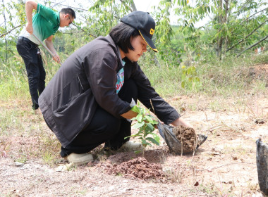 สหกรณ์จังหวัดบึงกาฬ พร้อมด้วยสหกรณ์การเกษตรเมืองบึงกาฬ ... พารามิเตอร์รูปภาพ 42